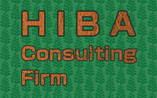 HIBA Consulting Firm